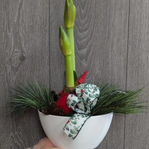 Arrangement amaryllis
